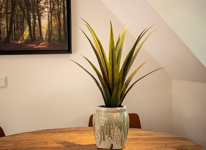 Ontspan met een boek op de veranda van Vakantiewoning Sprielderbosch 14 't Sprielderhof, Putten, Veluwe.
