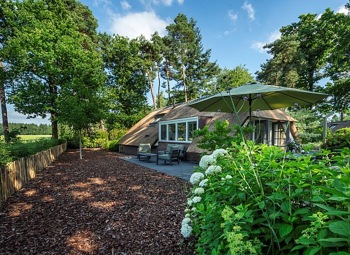 Ontdek de charmante buitenruimte van vakantiehuis Sprielderbosch 45 'Skogen' op de Veluwe in Gelderland.