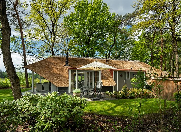 Charming vacation home Holiday home Sprielderbosch 12 'De Kuifmees' in Putten, Veluwe, surrounded by green nature.