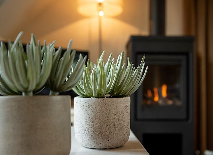Modern kitchen and living room in Holiday home Sprielderbosch 12 'De Kuifmees', vacation home on the Veluwe in Putten.