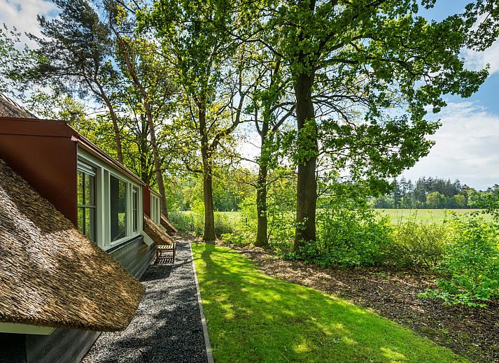 Cozy living room with fireplace in Holiday home Sprielderbosch 12 'De Kuifmees', vacation home in Putten, Veluwe.