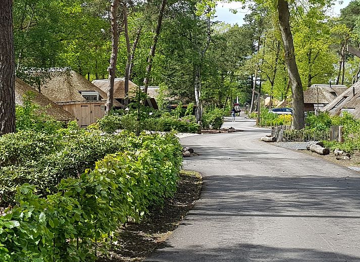 Atmospheric fireplace in Holiday home Sprielderbosch 12 'De Kuifmees', vacation home in the Veluwe, Putten.