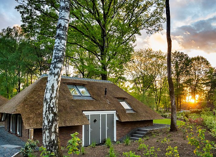 Verblijf 3220104 • Vakantiewoning Veluwe • Vakantiewoning Sprielderbosch 28 "Berkenhoek" op de Veluwe