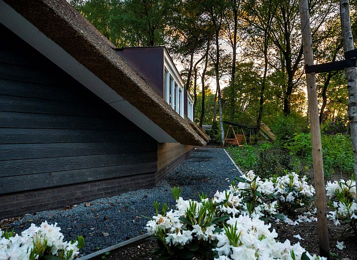 Vakantiewoning Sprielderbosch 29 'Casa Esther' op de Veluwe, charmante buitenkant met rieten dak in Putten, Gelderland.