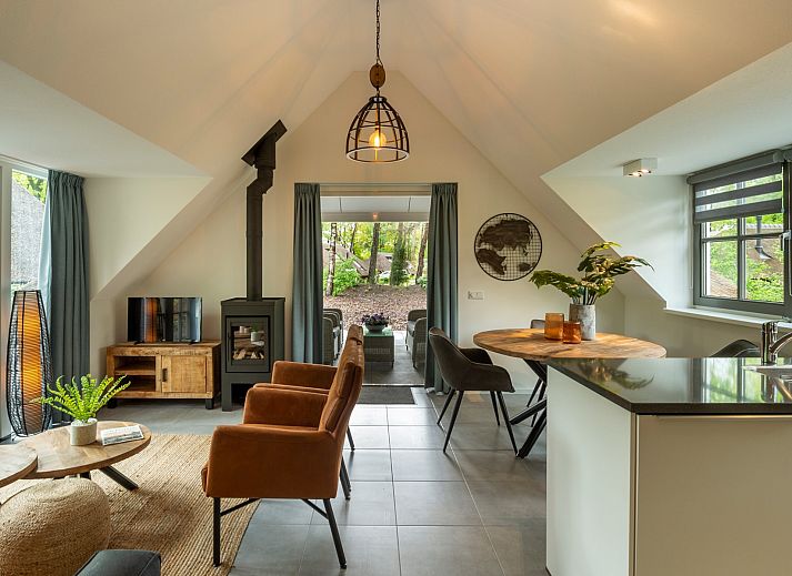 Vakantiewoning Sprielderbosch 29 'Casa Esther' op de Veluwe, charmante buitenkant met rieten dak in Putten, Gelderland.