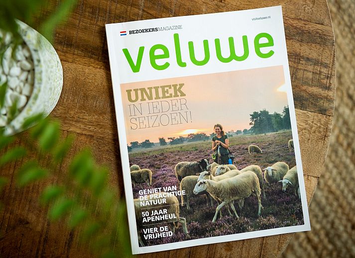 Natuurrijke omgeving van Vakantiewoning Sprielderbosch 29 'Casa Esther' op de Veluwe in Putten, Gelderland.