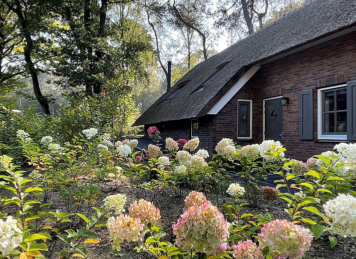 Terrasse im Ferienhaus Sprielderbosch 26 De Beuk in Putten, Veluwe, mit Blick auf den Wald.