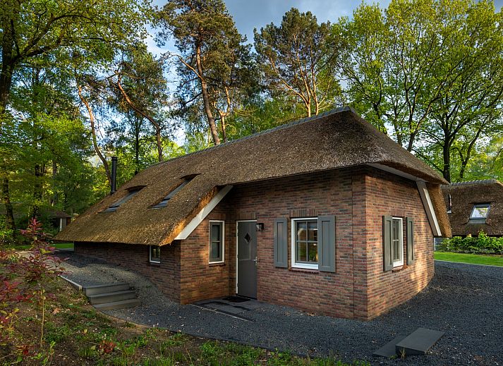 Terrasse im Ferienhaus Sprielderbosch 26 De Beuk in Putten, Veluwe, mit Blick auf den Wald.