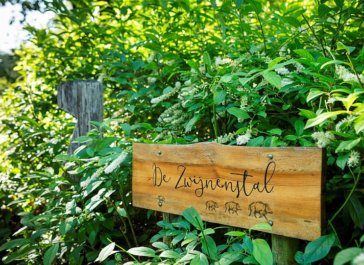 Blick auf den gruenen Garten des Ferienhauses Sprielderbosch 23 De Zwijnenstal, ein rustikales Ferienhaus in der Veluwe.