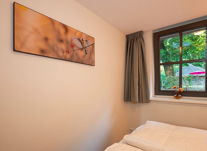 Gepflegter Garten und Terrasse im Ferienhaus Sprielderbosch 23 De Zwijnenstal, Ferienhaus an der Veluwe in Putten.