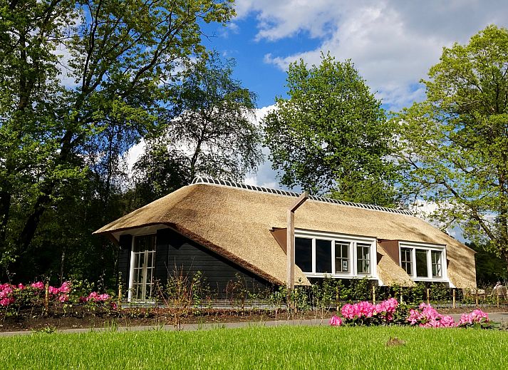 Verblijf 3220109 • Vakantiewoning Veluwe • Buitenplaats Sprielderbosch 46 "De Zonnehoed" 