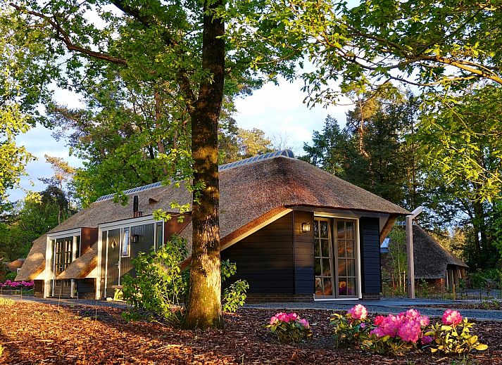 Veranda des Ferienhauses Sprielderbosch 46 De Zonnehoed, ideal fuer ein Essen im Freien in Putten, Veluwe.