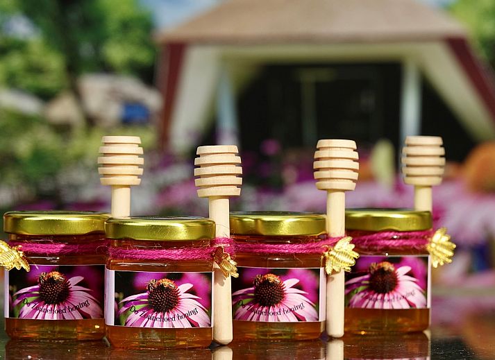 Stilvoll gedeckter Tisch auf der Terrasse von Holiday home Sprielderbosch 46 De Zonnehoed in der Veluwe.