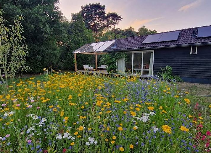 Verblijf 3220139 - Vakantiewoning Veluwe - Vakantiehuis in Putten