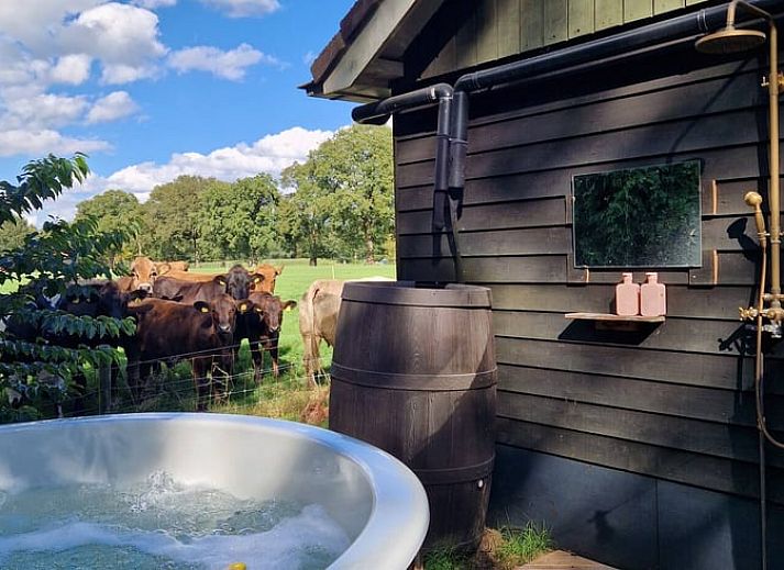 Verblijf 3220139 - Vakantiewoning Veluwe - Vakantiehuis in Putten