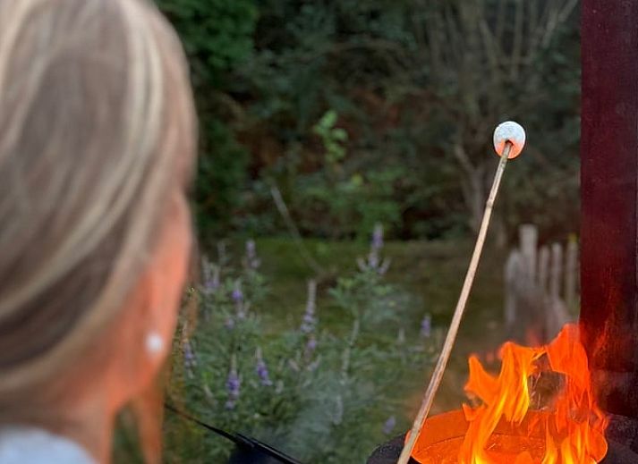 Verblijf 3220139 - Vakantiewoning Veluwe - Vakantiehuis in Putten