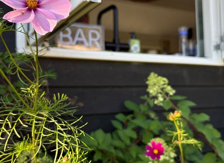 Verblijf 3220139 - Vakantiewoning Veluwe - Vakantiehuis in Putten