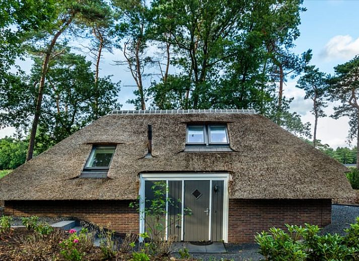 Unterkunft 3220146 - Ferienhaus Veluwe - Vakantiehuisje in Putten