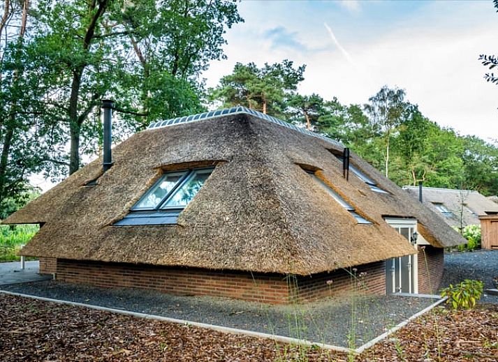 Unterkunft 3220146 - Ferienhaus Veluwe - Vakantiehuisje in Putten