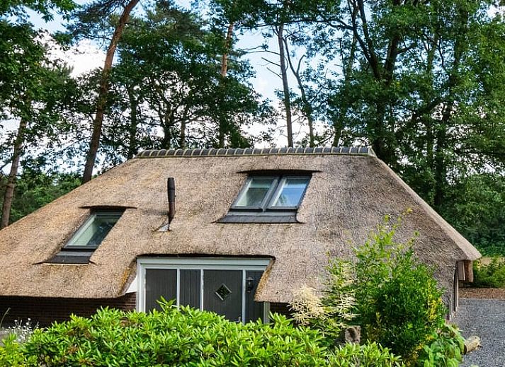 Unterkunft 3220146 - Ferienhaus Veluwe - Vakantiehuisje in Putten