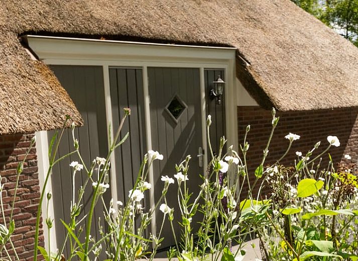 Unterkunft 3220146 - Ferienhaus Veluwe - Vakantiehuisje in Putten