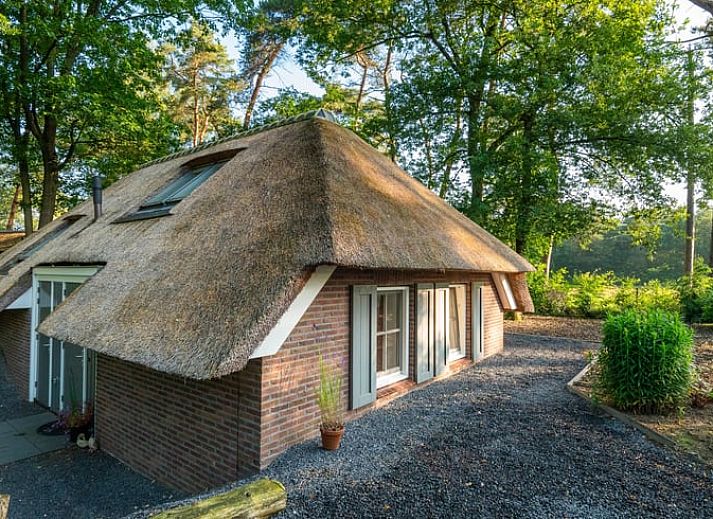 Unterkunft 3220146 - Ferienhaus Veluwe - Vakantiehuisje in Putten