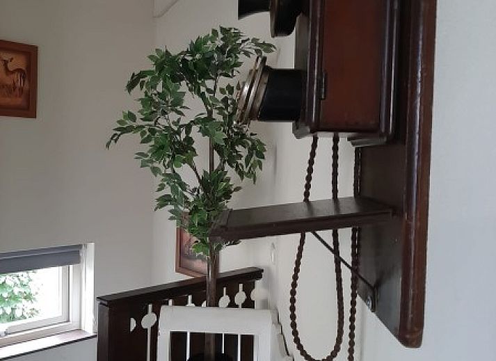 Natural passage at El Granero in Putten, Veluwe, surrounded by greenery and peaceful nature.