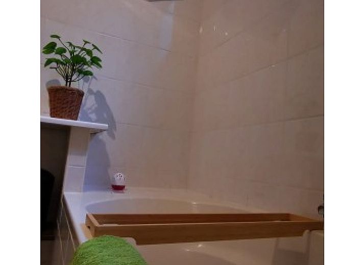 Fly agaric in nature around El Granero in Putten, Veluwe, symbolizes the rich biodiversity.