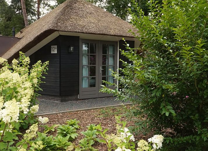 Unterkunft 3220158 • Ferienhaus Veluwe • Vakantiehuis in Putten