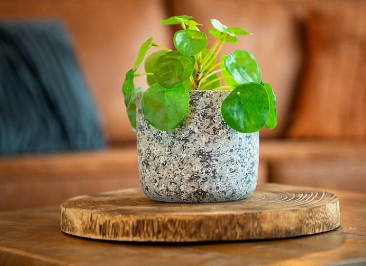 Stilvolles Wohnzimmer eines modern eingerichteten Ferienhauses in Putten, Veluwe in Gelderland.