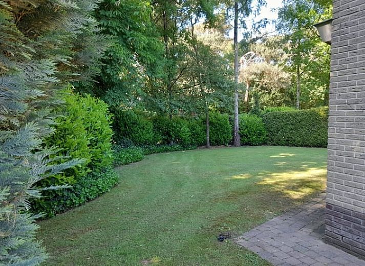 Unterkunft 3220174 - Ferienhaus Veluwe - Huisje in Putten