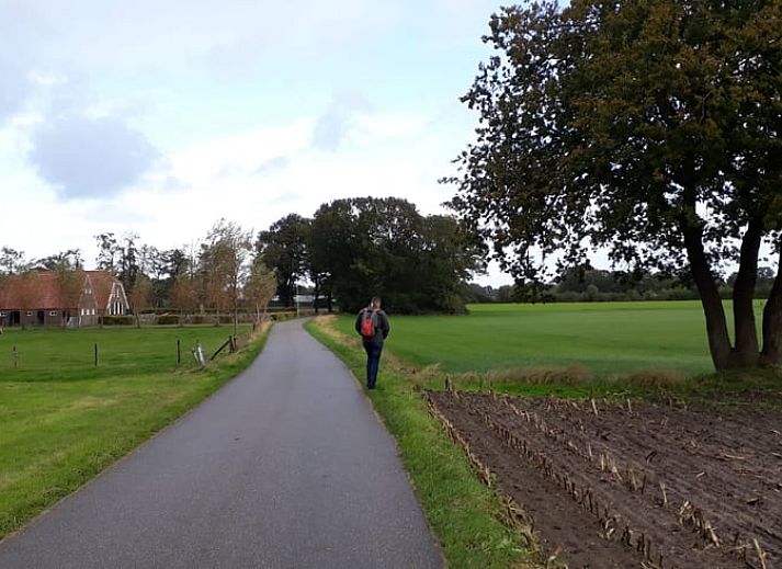 Unterkunft 3220174 - Ferienhaus Veluwe - Huisje in Putten