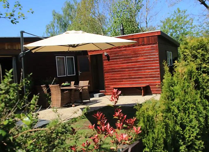 Guest house 3220193 - Chalet Veluwe - Veluwe Park Reewold Chalet Talisman