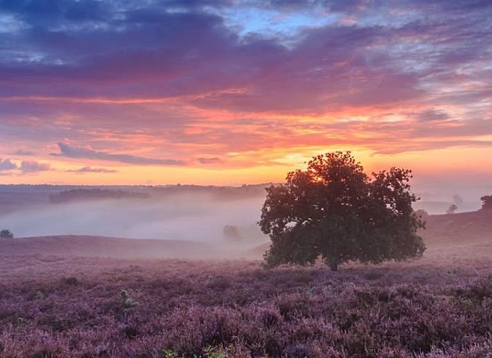 Verblijf 3220232 - Vakantiewoning Veluwe - DG1762