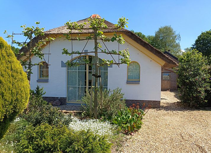 Guest house 3220235 - Holiday property Veluwe - DG1814
