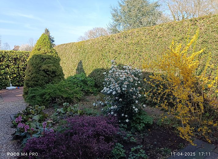 Guest house 3220235 - Holiday property Veluwe - DG1814