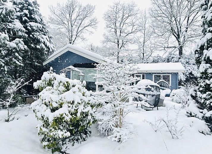 Gemuetlicher Innenbereich des Ferienhauses in Putten, Veluwe, Gelderland, mit moderner Einrichtung und Blick auf den gruenen Garten.