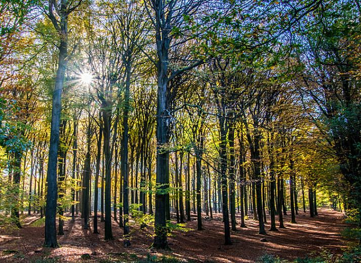 Gemuetliches Schlafzimmer des Ferienhauses in Putten, gelegen in der Veluwe, Gelderland. Komfortabler Aufenthalt mit moderner Einrichtung.