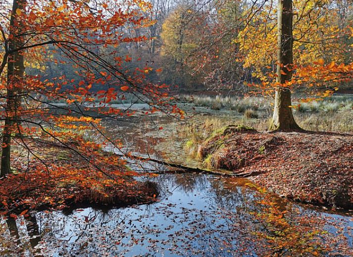 Gemuetliches Schlafzimmer des Ferienhauses in Putten, gelegen in der Veluwe, Gelderland. Komfortabler Aufenthalt mit moderner Einrichtung.