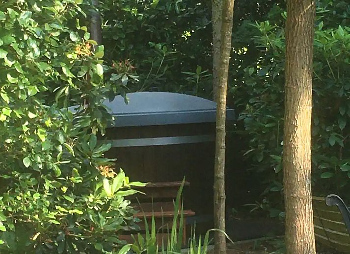 Unterkunft 3220244 - Chalet Veluwe - Veluweboshuisje met airco en hottub.
