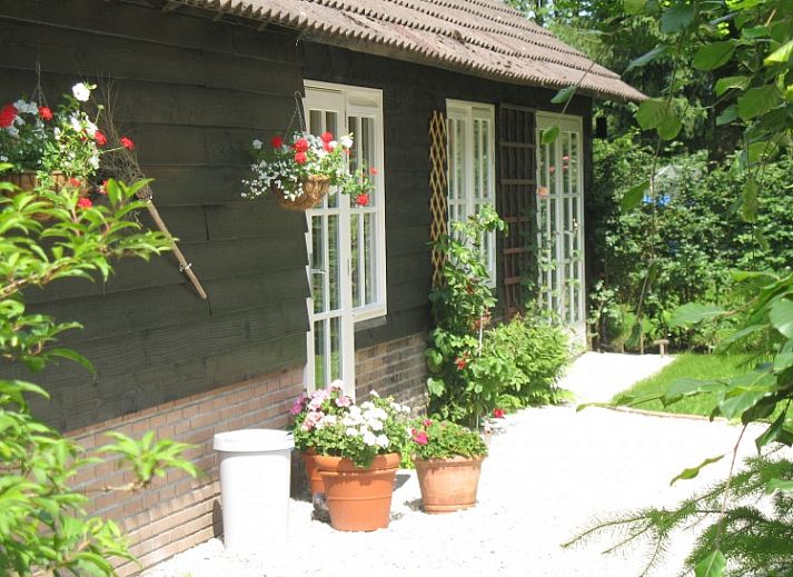 Verblijf 322026 • Vakantiewoning Veluwe • cottage