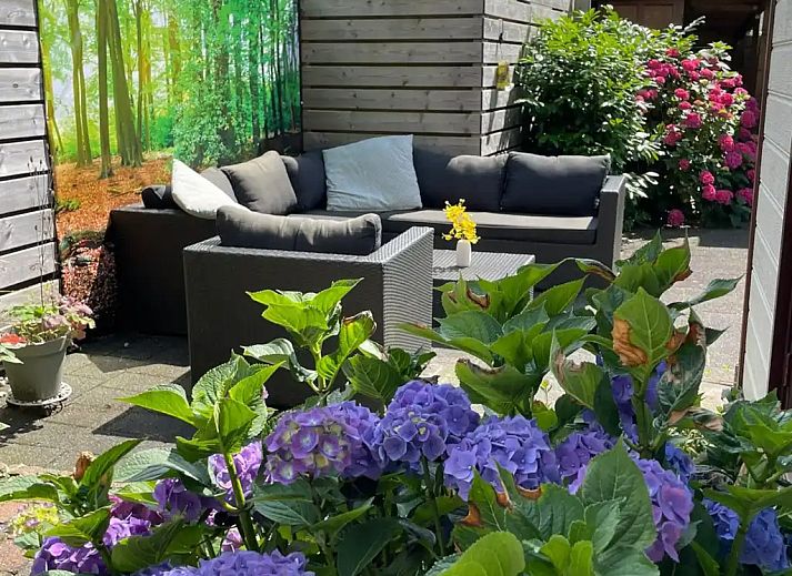 Guest house 3220260 - Holiday property Veluwe - Chalet met tuin incl fietsen Veluwe