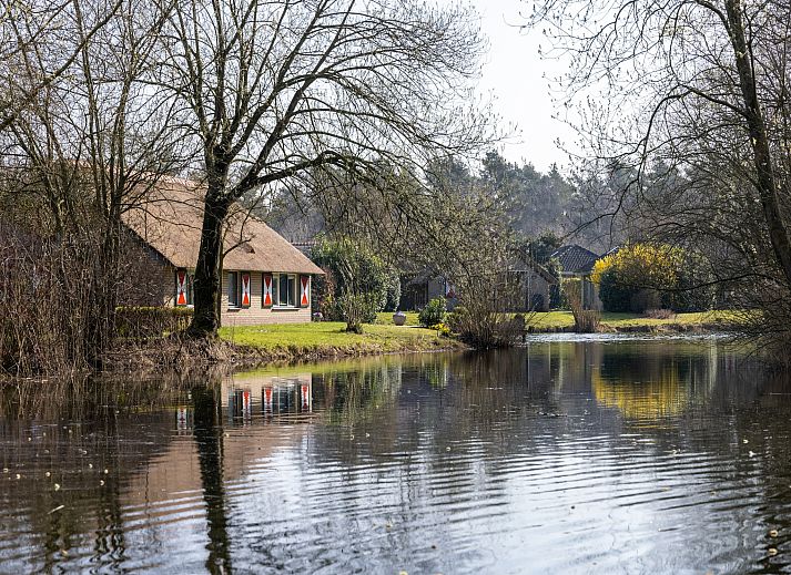 Guest house 3220263 - Holiday property Veluwe - De Veluwse Hoevegaerde 2