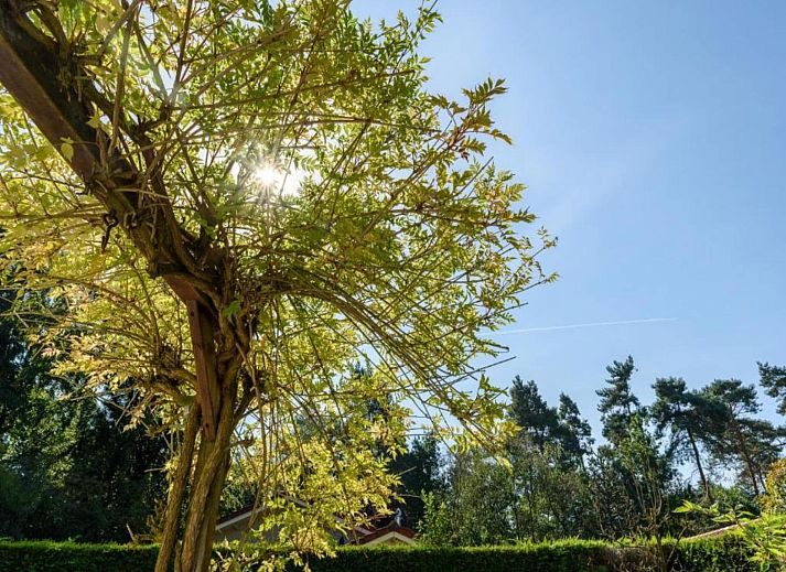 Guest house 3220263 - Holiday property Veluwe - De Veluwse Hoevegaerde 2