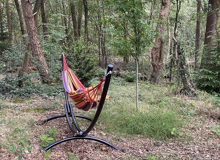 Unterkunft 322039 - Ferienhaus Veluwe - Vakantiewoning Sprielderbosch 32 "De bostuin" op de Veluwe