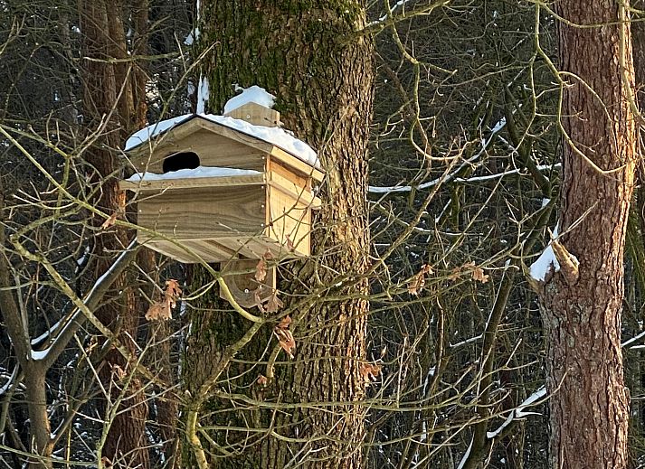 Unterkunft 322039 - Ferienhaus Veluwe - Vakantiewoning Sprielderbosch 32 "De bostuin" op de Veluwe