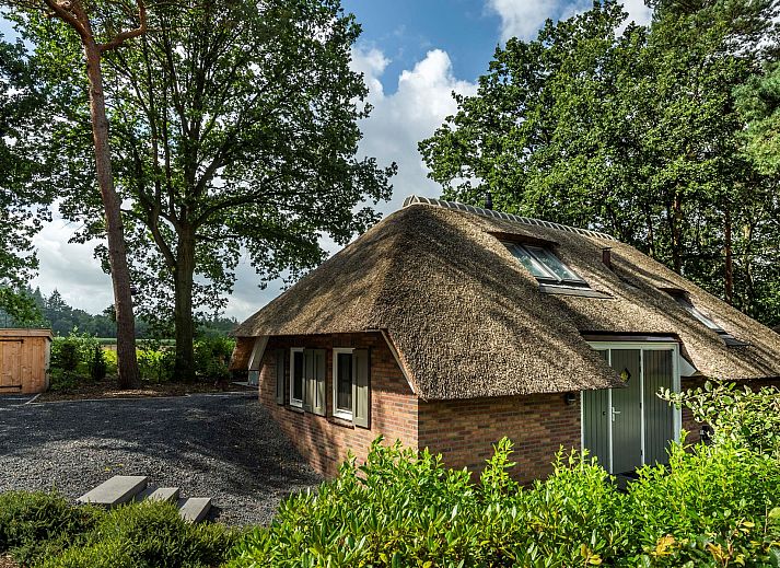 Guest house 322040 • Holiday property Veluwe • Buitenplaats Sprielderbosch 15 "Woodlands" 