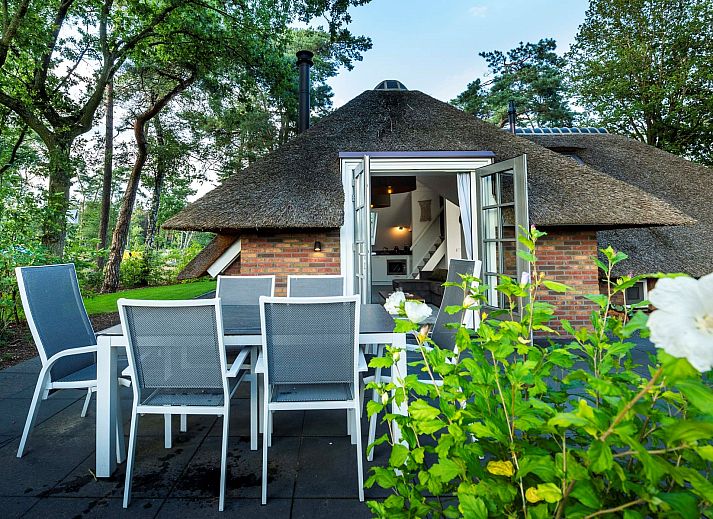 Verblijf 322040 - Vakantiewoning Veluwe - Buitenplaats Sprielderbosch 15 "Woodlands"