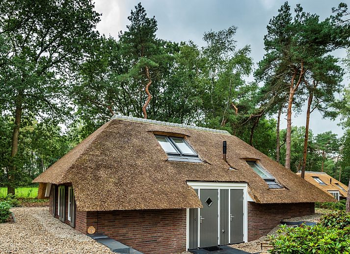 Verblijf 322041 • Vakantiewoning Veluwe • Vakantiewoning Sprielderbosch 24 "Rijckholt" op de Veluwe