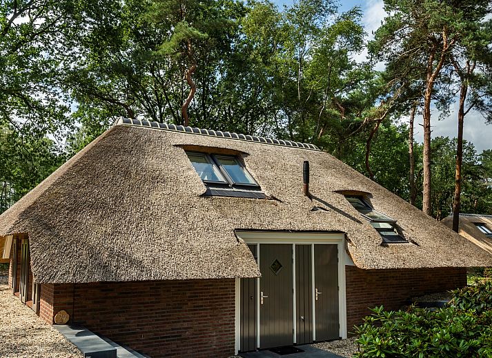 Vacation home Sprielderbosch 24 'Rijckholt' in Putten, Veluwe surrounded by green nature and rustic architecture.